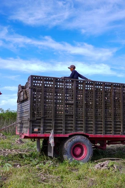 Cử tri cả nước gửi kỳ vọng đến ngày hội lớn