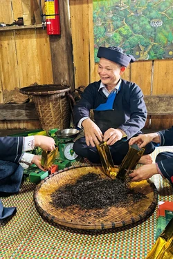 Đưa hương chè Shan Tuyết bay xa