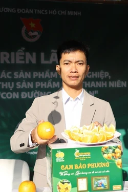 Thanh niên nông thôn bền bỉ làm giàu từ quê hương