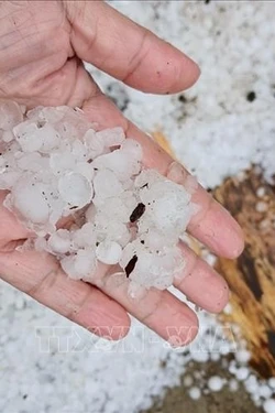 Nghệ An: Dông lốc kèm mưa đá tại xã miền núi Quỳ Châu