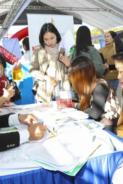 Ngày hội việc làm tỉnh Điện Biên: Cơ hội cho hơn 17.000 lao động