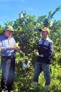 Mở lối thoát nghèo cho đồng bào miền núi Quảng Trị