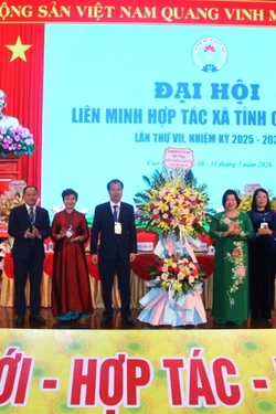 Xây dựng Hợp tác xã mạnh, hoạt động hiệu quả hướng tới xuất khẩu