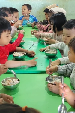 Chưa có căn cứ để xác định việc 'ăn chặn' suất ăn bán trú tại Trường Mầm non 19/5, Gia Lai