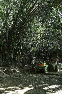 Đến Mường Động tìm hiểu biểu tượng tình yêu nơi 'Đồi thông hai mộ'