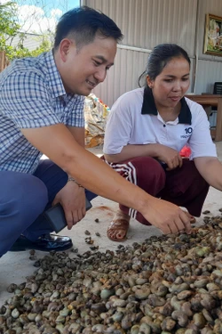Điểu Thị Mơm - Tấm gương sáng về khởi nghiệp của phụ nữ dân tộc thiểu số