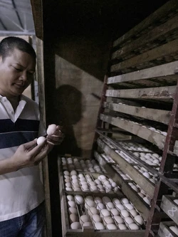 Gìn giữ nguồn gen, phát triển thương hiệu Gà Lạc Thủy