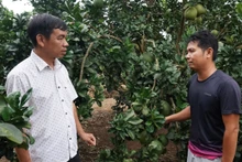 Mô hình trình diễn nông nghiệp công nghệ cao vùng biên mang lại hiệu quả