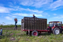 Cử tri cả nước gửi kỳ vọng đến ngày hội lớn