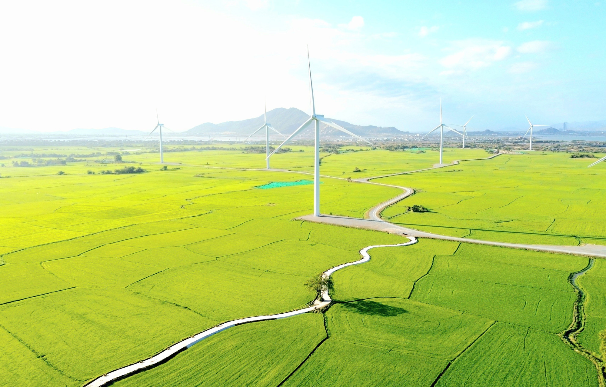 Những con đường uốn lượn kết nối các trụ điện gió tạo nên một bức tranh thiên nhiên vừa hùng vĩ vừa nên thơ. Ảnh: Nguyễn Thành – TTXVN potal-kham-pha-canh-dong-dien-gio-dam-nai-ninh-thuan-7908281.jpg