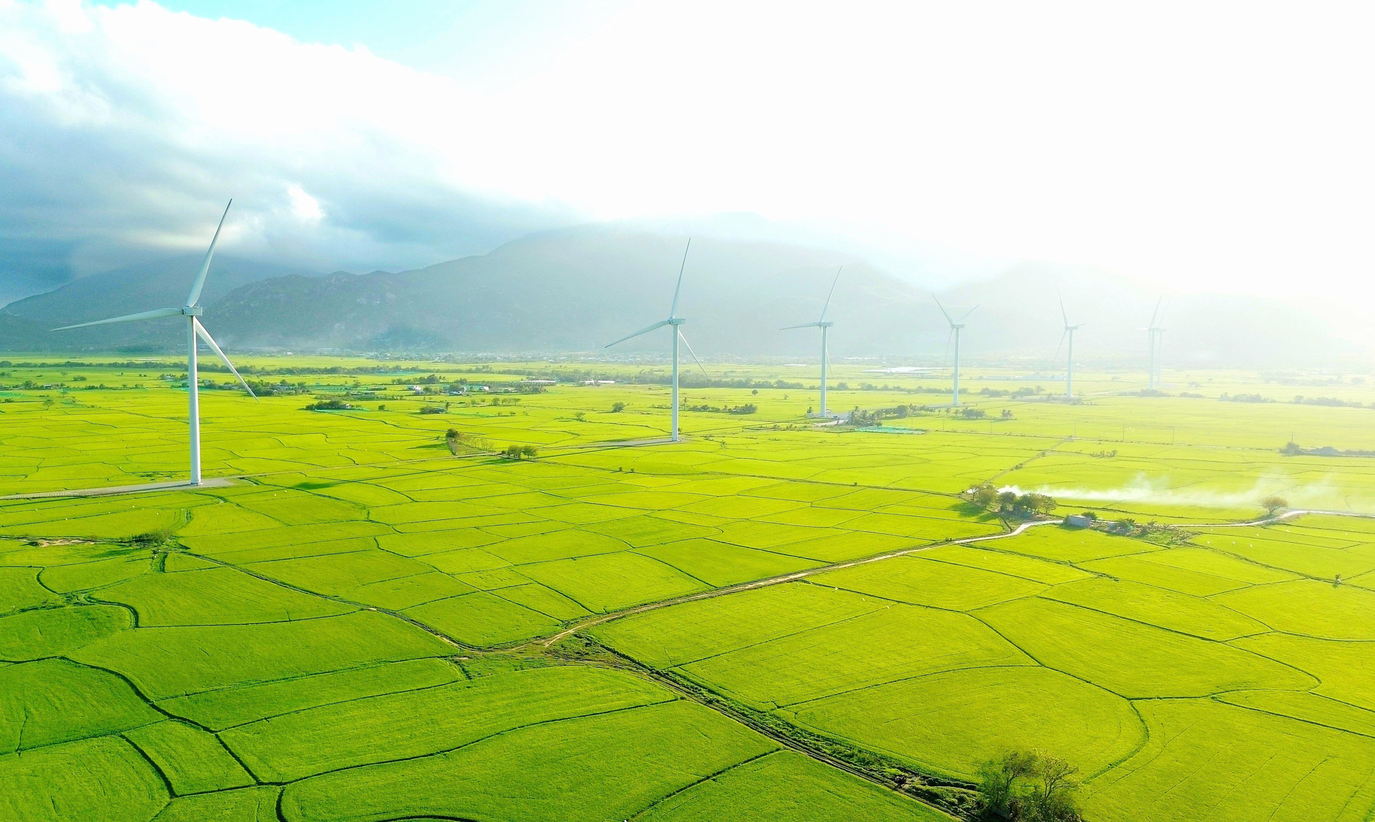 Cánh đồng điện gió Đầm Nại (Ninh Thuận). Ảnh: Nguyễn Thành – TTXVN potal-kham-pha-canh-dong-dien-gio-dam-nai-ninh-thuan-7908282.jpg
