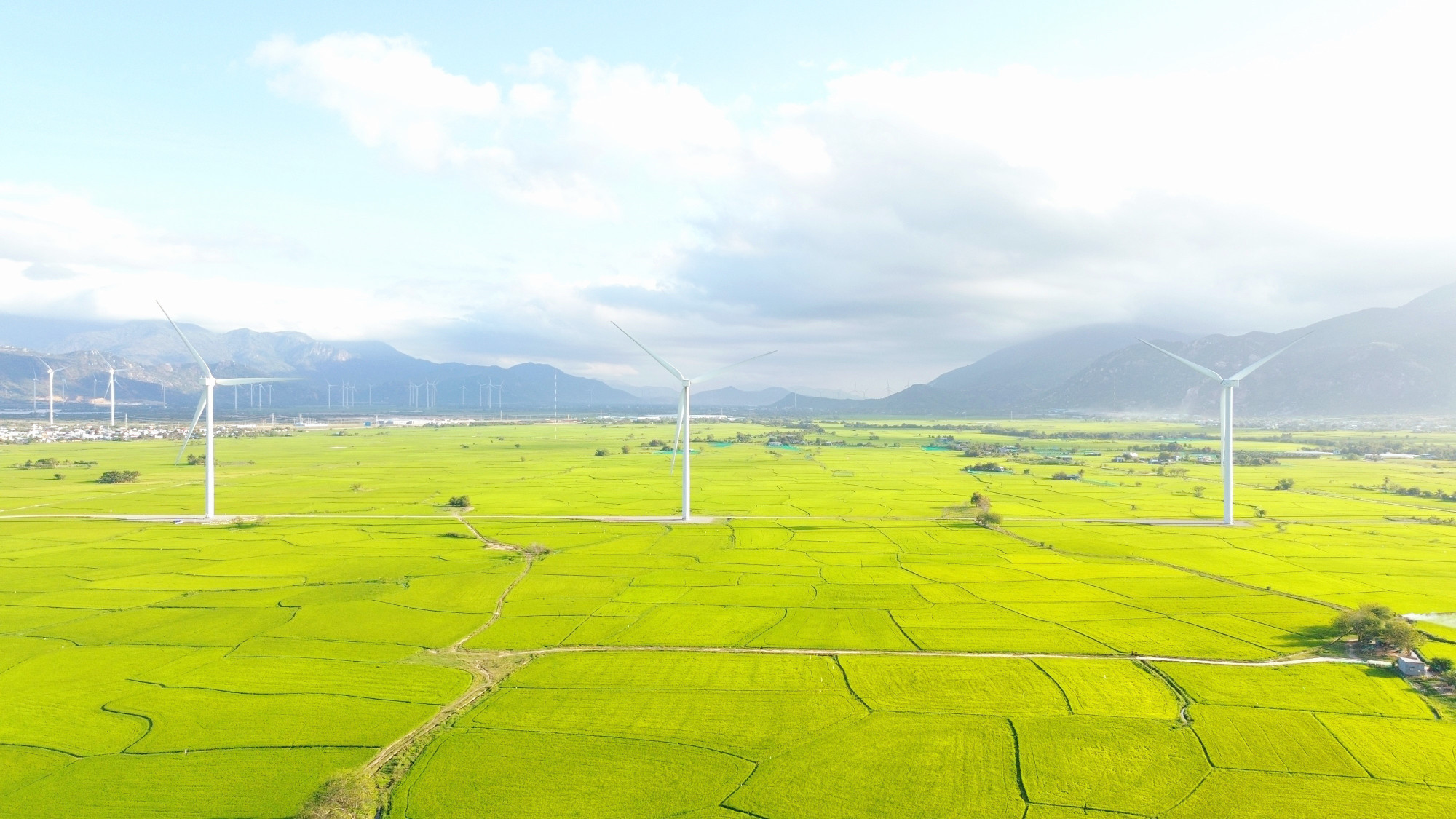 Bức tranh hài hòa giữa thiên nhiên và công nghệ của công trình điện gió Đầm Nại. Ảnh: Nguyễn Thành – TTXVN potal-kham-pha-canh-dong-dien-gio-dam-nai-ninh-thuan-7908280.jpg