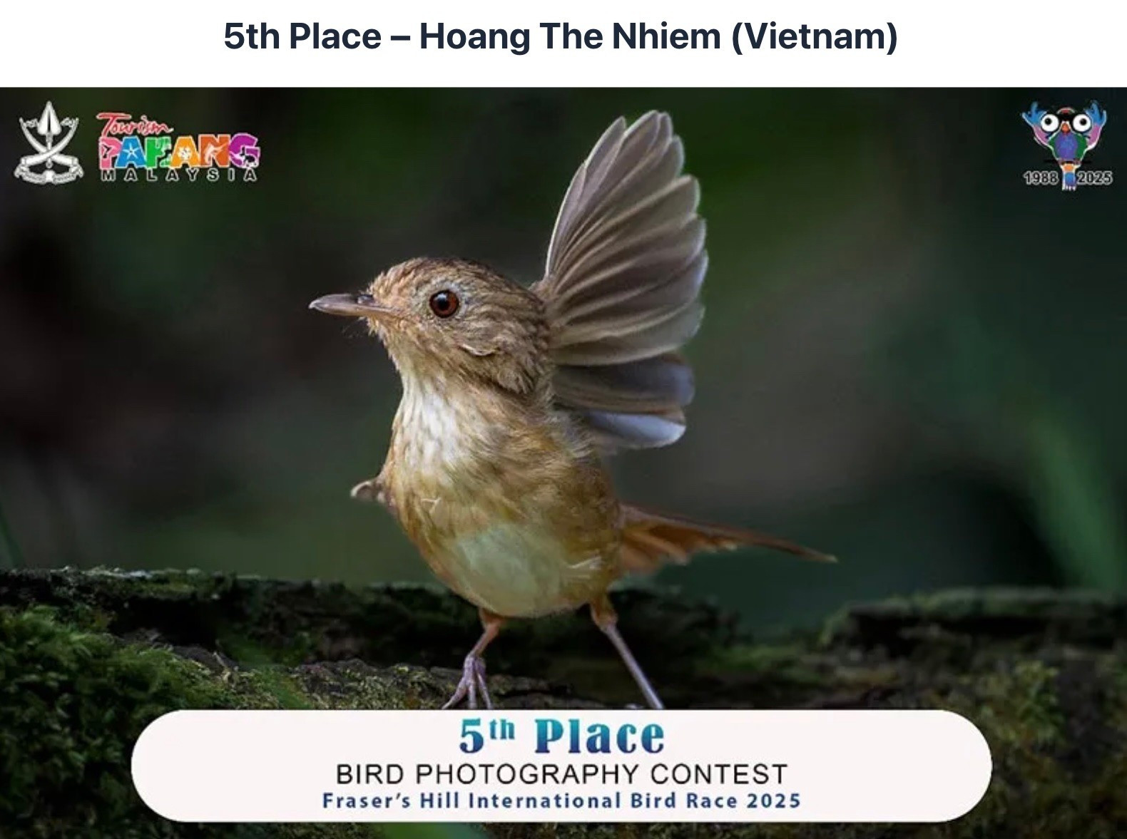 Một bức ảnh được trao giải của nghệ sĩ nhiếp ảnh Hoàng Thế Nhiệm tại Fraser's Hill International Birdrace z6739337174578-674fbbca167e556731d4b92d819e0cc8.jpg