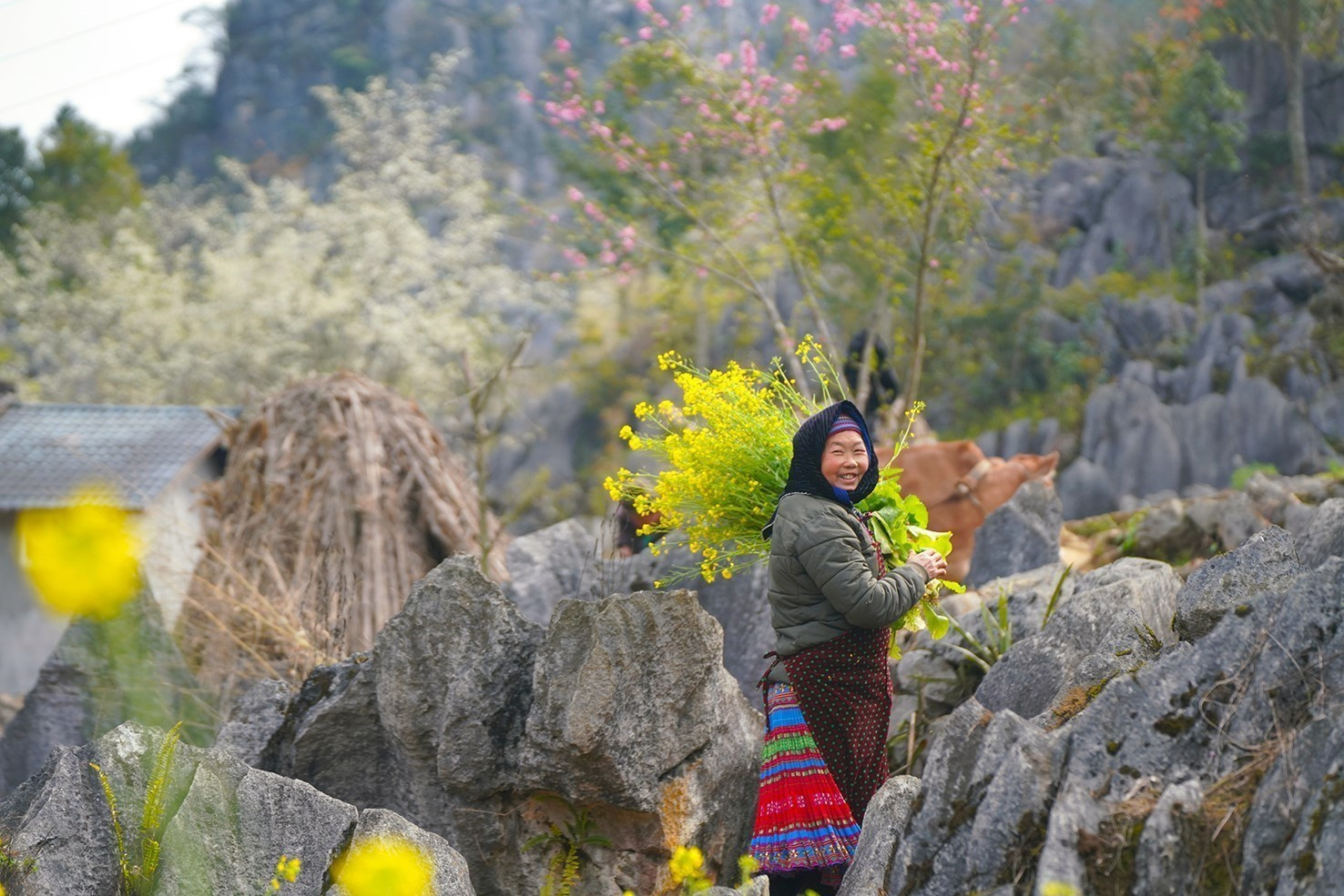 Nét đẹp của con người kết hợp cảnh sắc nơi đây là một điểm thu hút khách du lịch khi đến với Hà Giang. Ảnh: Khánh Hoà – TTXVN potal-ha-giang-dang-tro-thanh-diem-den-cua-nhieu-du-khach-quoc-te-7918707.jpg