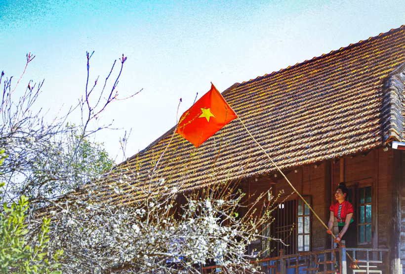 Hoa mận bung nở bên những nếp nhà sàn của người dân tộc Thái. Ảnh: Xuân Tư – TTXVN