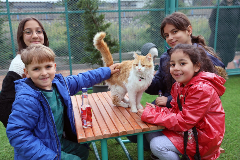Trẻ em chơi cùng một chú mèo tại "Thị trấn mèo" ở tỉnh Kayseri, Thổ Nhĩ Kỳ ngày 21/7/2023. Ảnh: THX/TTXVN