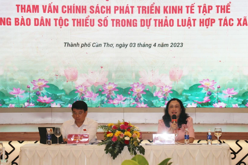 Tham vấn chính sách phát triển kinh tế tập thể đối với đồng bào dân tộc thiểu số trong dự án Luật Hợp tác xã (sửa đổi)