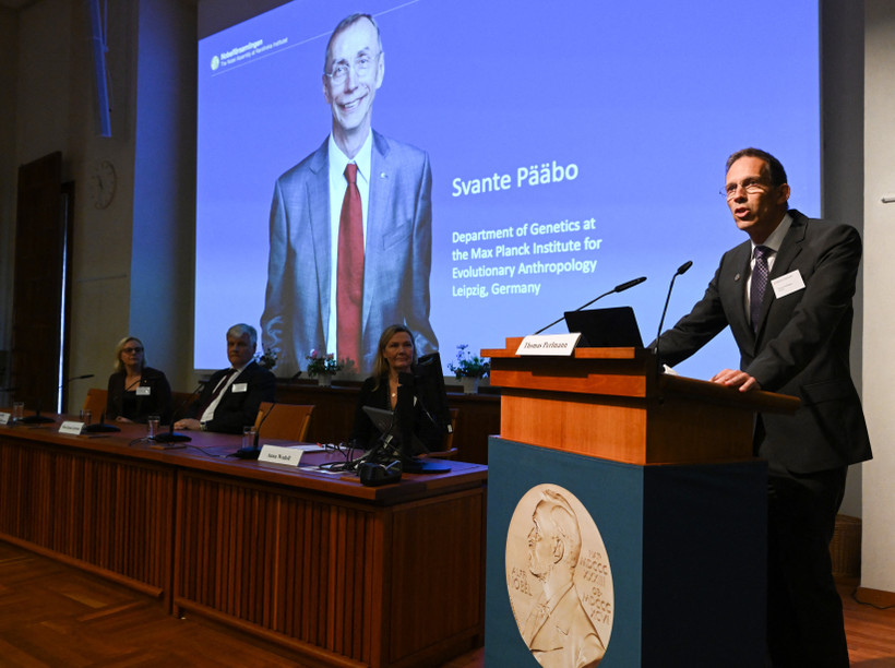 Chân dung nhà khoa học Thụy Điển đoạt giải Nobel Y sinh 2022 Svante Paabo tại Viện Karolinska ở Stockholm (Thụy Điển), ngày 3/10/2022. Ảnh: AFP/TTXVN