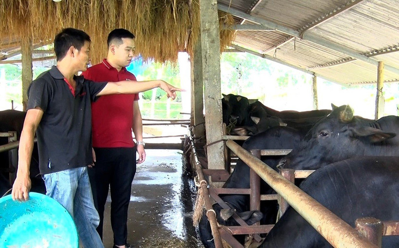 Hiệu quả vốn tín dụng phát triển nông nghiệp nông thôn tại huyện Yên Sơn