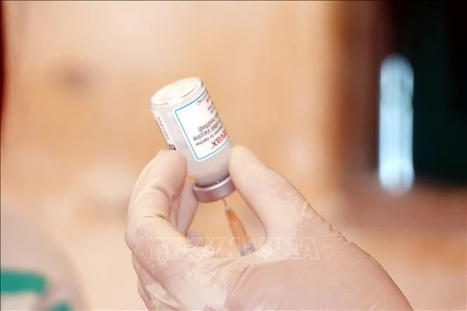 42.800 liều vaccine Moderna (liều 0,25ml) đã được Bộ Y tế cấp cho tỉnh Nam Định để triển khai tiêm phòng COVID-19 cho trẻ từ 5 đến dưới 12 tuổi trên địa bàn tỉnh. Ảnh: Văn Đạt - TTXVN