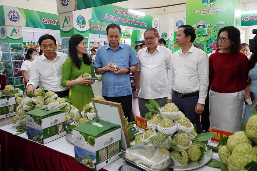 Khách tham quan gian hàng na Lạng Sơn. Ảnh: bnews.vn