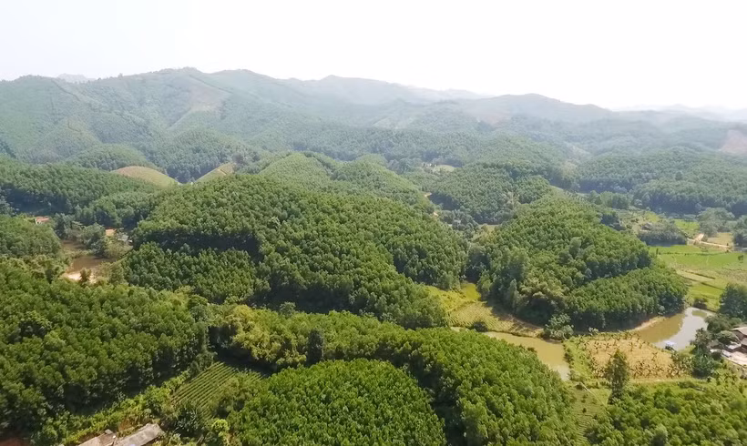 Xã Văn Hán là địa phương có diện tích rừng lớn nhất huyện Đồng Hỷ với hơn 4.000 ha rừng sản xuất. Ảnh: thainguyen.gov.vn