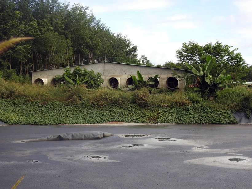 Kiểm tra, xác minh thông tin phản ánh về tình trạng ô nhiễm trại nuôi lợn ở huyện Đăk Hà