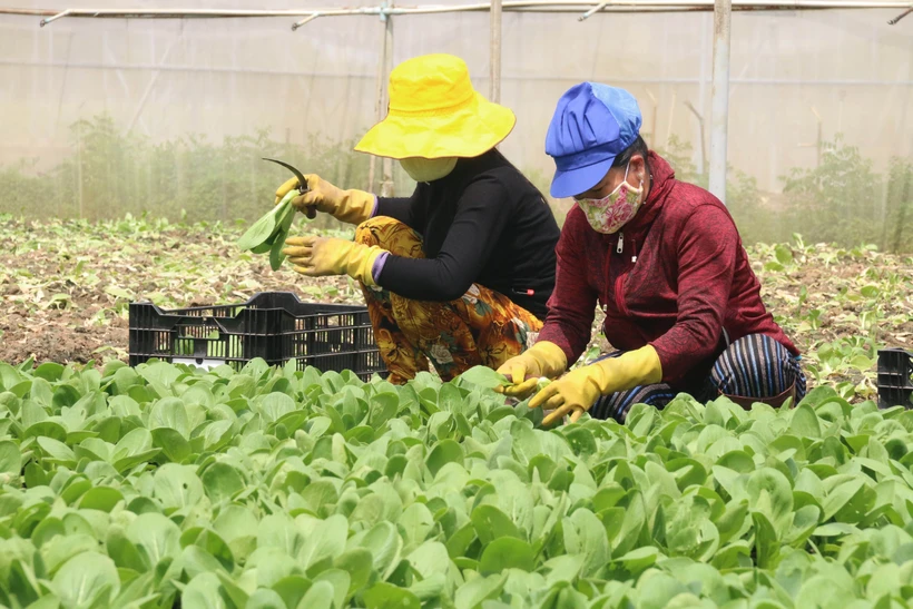 Phát triển bền vững Đồng bằng sông Cửu Long: Thuận thiên để thích ứng (Bài 3)