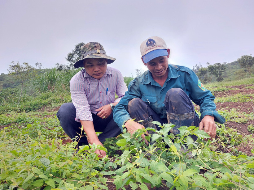 Thoát nghèo vùng đồng bào dân tộc thiểu số và miền núi (Bài cuối)