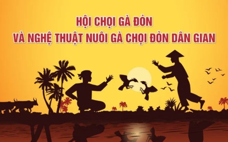 Giữ gìn, phát triển giống gà chọi đòn quý của Bình Định