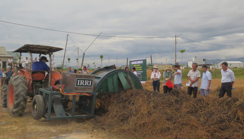 Rơm được trộn bằng máy trước khi ủ phân hữu cơ. Ảnh: Tường Vi - TTXVN