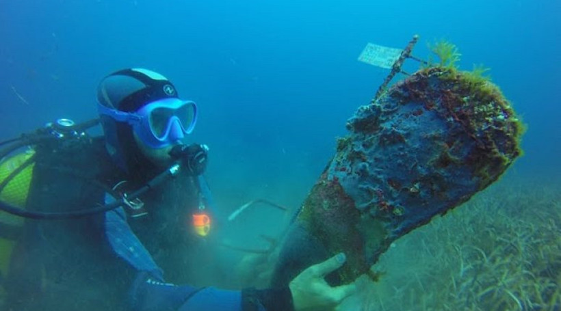 Loài trai khổng lồ dài 1,2 m nghi tuyệt chủng xuất hiện trở lại