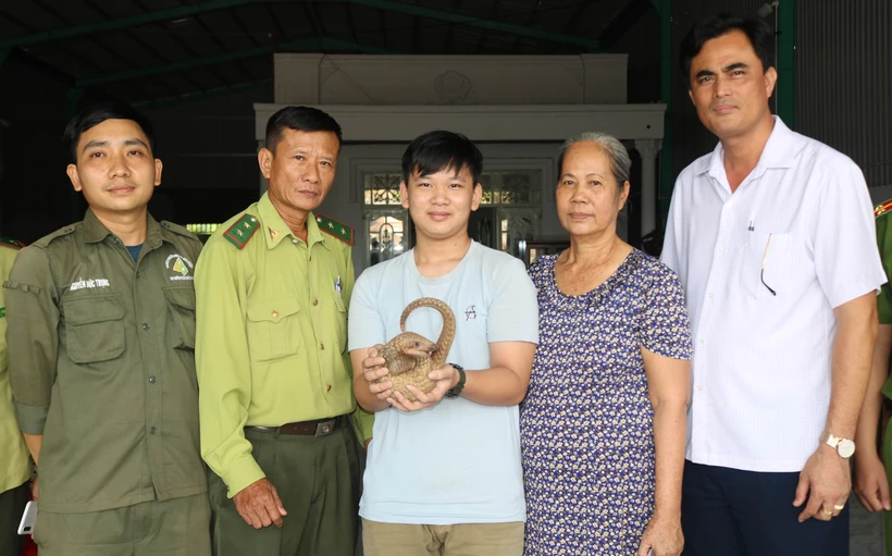 Cháu Mã Đoàn Nhật Thiên bàn giao cá thể Tê Tê cho hạt kiểm lâm huyện Bù Đăng (Bình Phước). Ảnh: Đậu Tất Thành - TTXVN