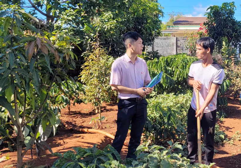 Làm lại cuộc đời nhờ vốn vay chính sách ở Gia Lai