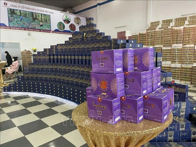 Các sản phẩm của Công ty cổ phần đầu tư Sâm Việt Nam được trưng bày trong ngày khai trương trụ sở. Ảnh: Cao Nguyên-TTXVN