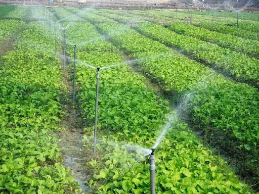 Lâm Đồng khuyến khích áp dụng các công nghệ mới vào sản xuất, tưới tiết kiệm