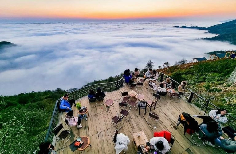 Đến Tà Xùa thưởng trà giữa mây bay