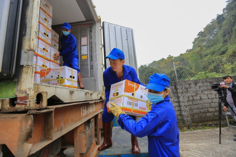 Các công nhân của Công ty TTHH MTV Cao Phong vận chuyển sản phẩm quả cam Cao Phong đã đóng hộp lên container chuẩn bị xuất khẩu sang thị trường Vương Quốc Anh. Ảnh: Trọng Đạt -TTXVN