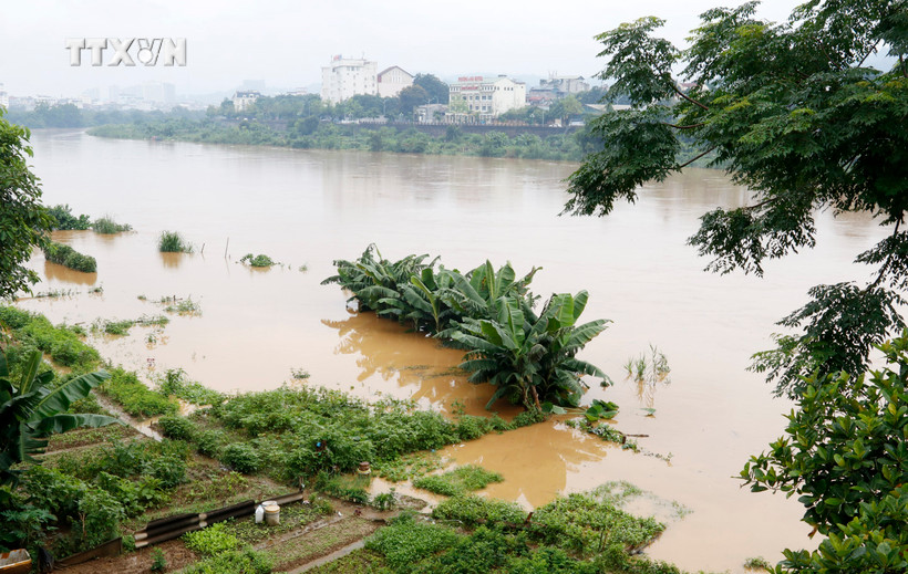 Thủ tướng chỉ đạo khắc phục hậu quả mưa lũ, chủ động ứng phó thiên tai tại miền núi, trung du Bắc Bộ