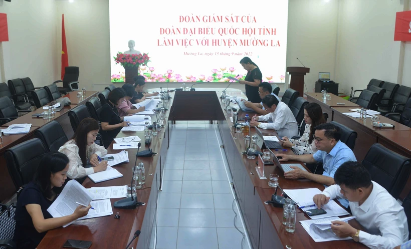 Quang cảnh buổi giám sát. Ảnh: Quang Quyết - TTXVN