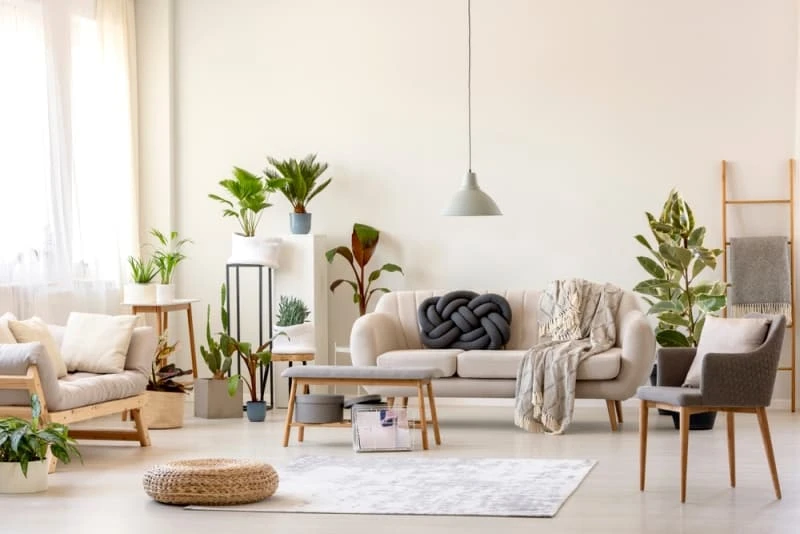 Mùi thơm nhân tạo ảnh hưởng đến chất lượng không khí trong nhà