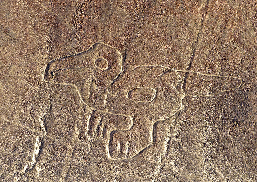 Phát hiện mới hơn 100 hình vẽ cổ đại tại đồng bằng Nazca ở Peru