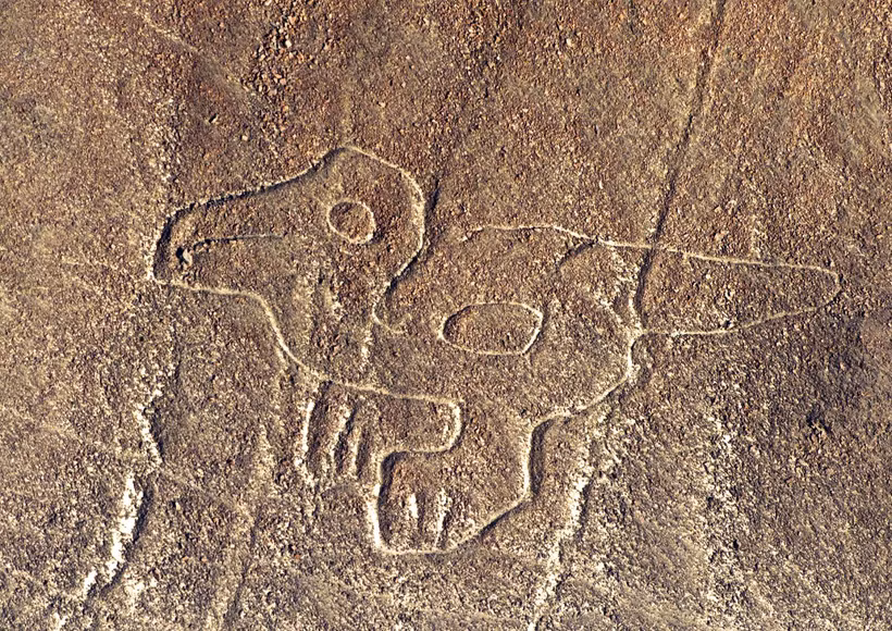 Phát hiện mới hơn 100 hình vẽ cổ đại tại đồng bằng Nazca ở Peru