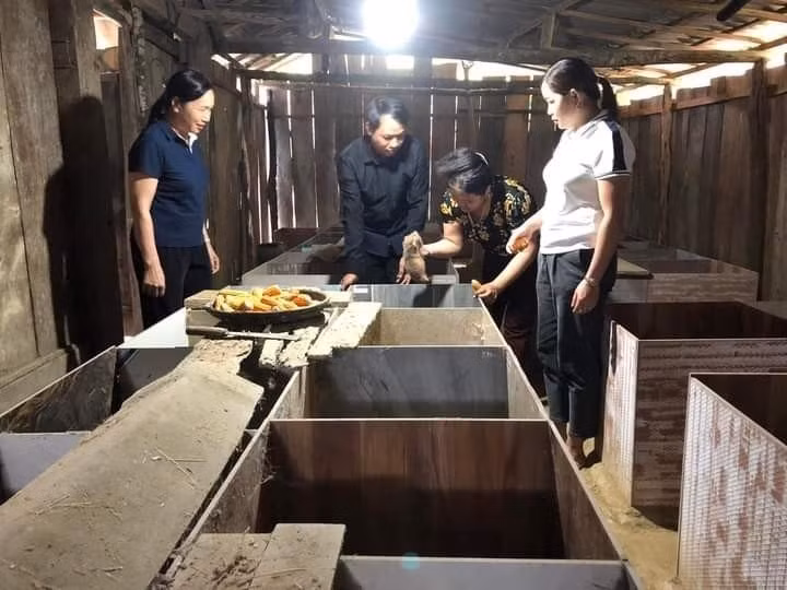 Bà Ma Thị Thanh, Trưởng ban công tác Mặt trận thôn Khau Tàm, xã Kiên Đài (người cầm con dúi) trao đổi kinh nghiệm chăn nuôi cho các hộ đến tham quan mô hình. Ảnh: Quang Cường