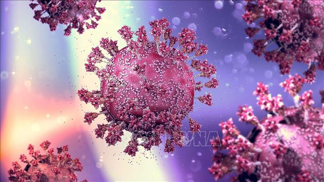 Ưu việt của phương pháp giải trình tự gene nước thải theo dõi các biến thể của virus SARS-CoV-2