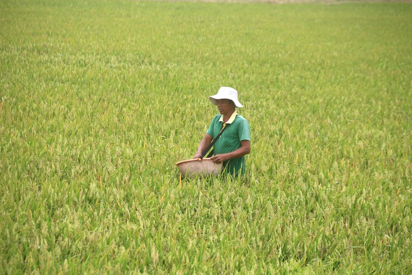 Trà Vinh hạn chế thiệt hại do ảnh hưởng hạn, mặn cuối vụ