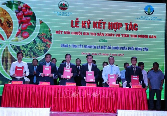 UBND 5 tỉnh Tây Nguyên ký biên bản hợp tác với một số chuỗi phân phối nông sản. Ảnh: Hồng Điệp - TTXVN