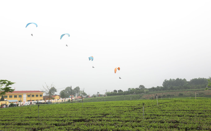 Biểu diễn bay dù lượn trên đồi chè tại chương trình. Ảnh: Hoàng Nguyên - TTXVN potal-thai-nguyen-khai-mac-chuong-trinh-du-lich-dai-tu-huong-che-lan-toa-7982155.jpg