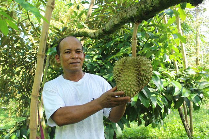 Phát triển sầu riêng cơm vàng, hạt lép giúp nông dân huyện Khánh Sơn (Khánh Hòa) thoát nghèo. Ảnh: Đặng Tuấn - TTXVN potal-khanh-hoa-phat-trien-sau-rieng-com-vang-hat-lep-giup-nong-dan-khanh-son-thoat-ngheo-6898897.jpg