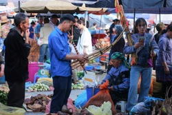 Nhạc cụ truyền thống giữ hồn văn hóa dân tộc